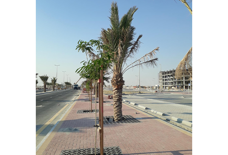 King Abdullah Bin Abdulaziz Medical City (KAMC) Phase 1 - Package 2 – Infrastructure Works