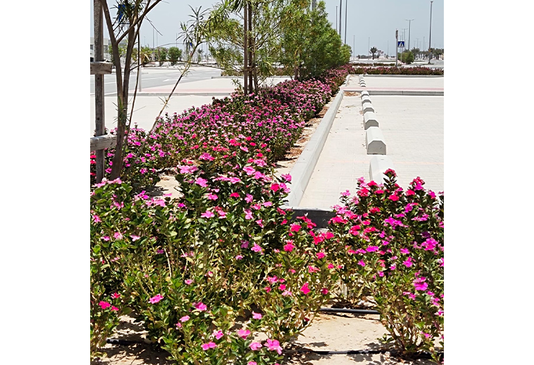 King Abdullah Bin Abdulaziz Medical City (KAMC) Phase 1 - Package 2 – Infrastructure Works